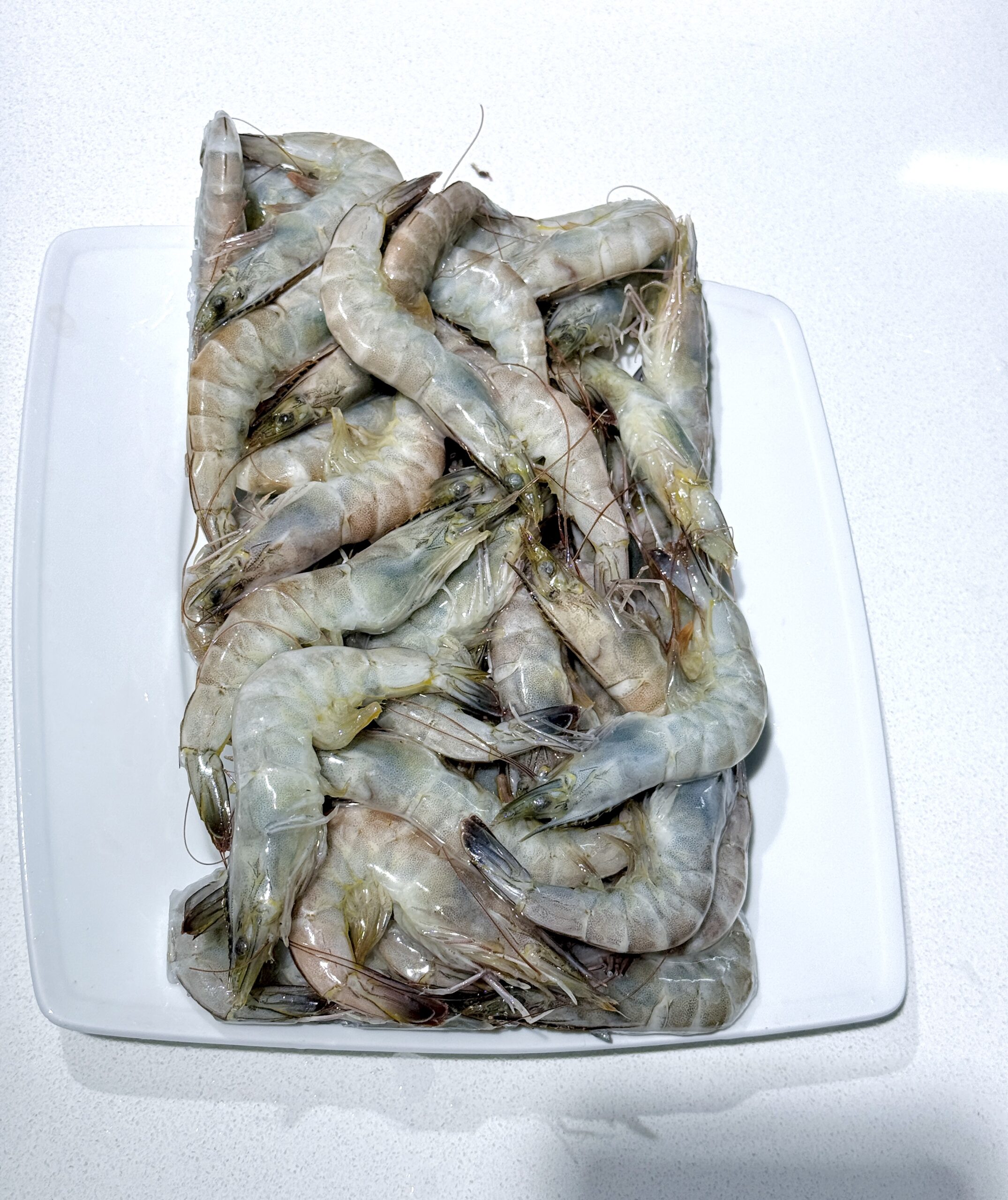 Tôm thẻ nguyên con