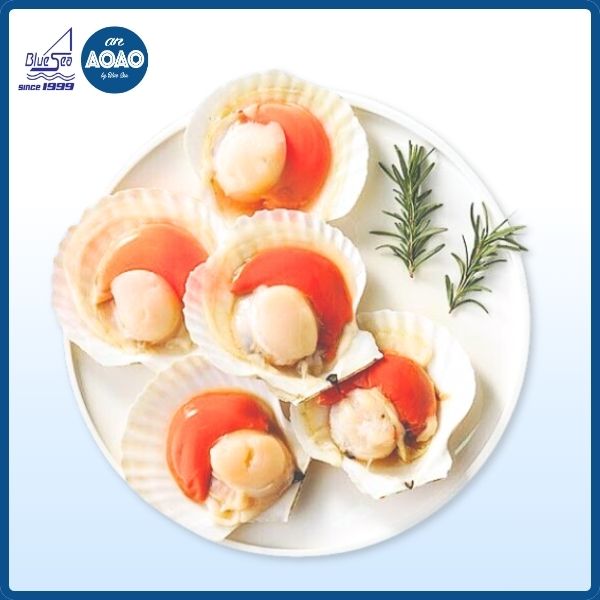 Sò điệp nửa mảnh