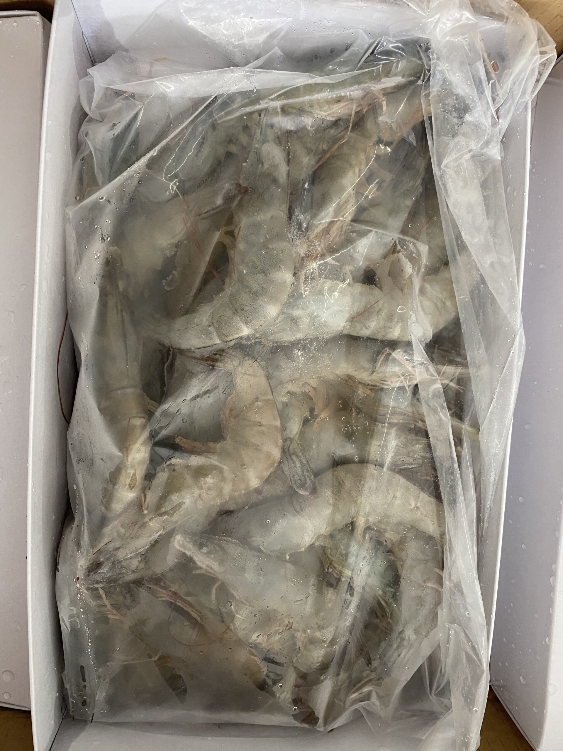Tôm Thẻ Nguyên Con 4